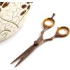 Electra - Tijeras profesionales para cortar el cabello, 6.0-7.0 pulgadas, para mano derecha, borde de afeitar, tijeras de