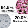 Niacinamida 20% Vitamina B3 Concentrado Facial Suero Vegano 1 Oz – Damasco Rosa 64.5% Sin Aroma Incluso Tono De Piel Desafiante