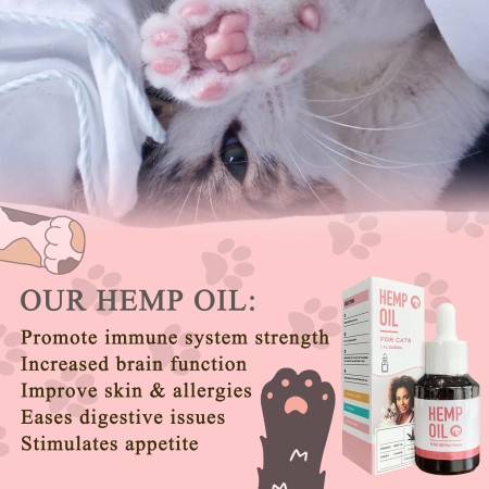 Calma a tu amigo felino con aceite de cáñamo para gatos, mejorado con ácidos grasos omega para ansiedad, dolor, digestión,
