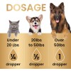 Aceite de cáñamo Gold Leaf para perros y gatos, máxima resistencia, gotas de aceite de cáñamo cultivado orgánicamente, alivio de