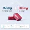 HumanN SuperBeets - Masticables de corazón – Producción de óxido nítrico para apoyo diario de presión arterial y circulación –