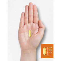 Carlyle Cápsulas de aceite de cáñamo