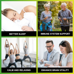 Aceite de cáñamo de alta potencia (paquete de 4)