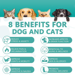 Aceite de cáñamo de máxima potencia para perros y gatos