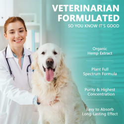 Aceite de cáñamo de máxima potencia para perros y gatos