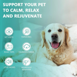 Aceite de cáñamo de máxima potencia para perros y gatos