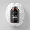 Qualia Mind Nootrópics | Suplemento cerebral superior para memoria, enfoque, energía mental y concentración con Ginkgo biloba,