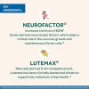 NEURIVA Suplemento cerebral + ocular para memoria, enfoque y concentración con luteína y vitaminas A C E y zinc para la salud
